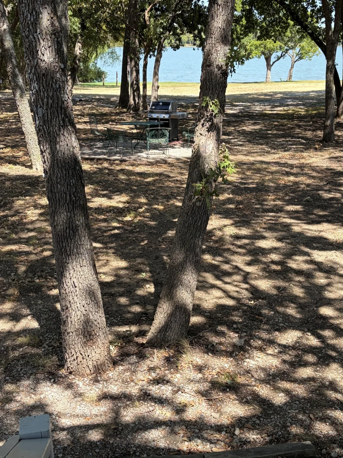 The view out towards Lake Lewisville through the oaks from Cabin 1