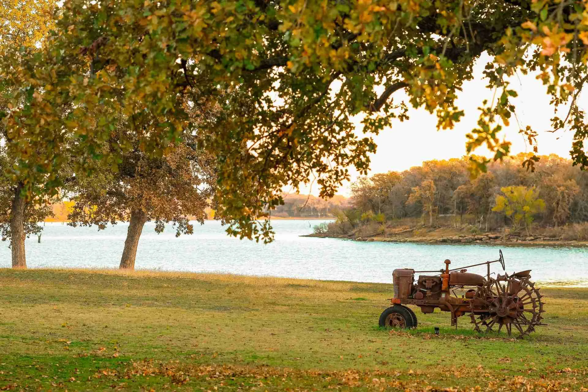 A vintage tractor under a golden oak beside Lake Lewisville